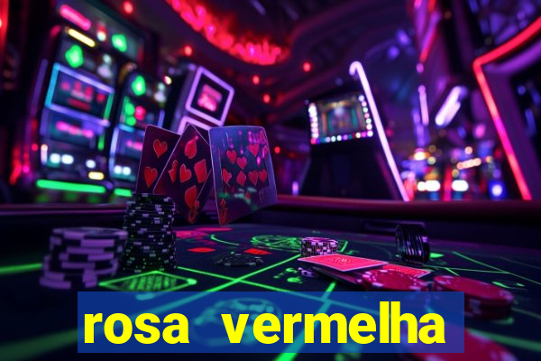 rosa vermelha (letra e cifra)